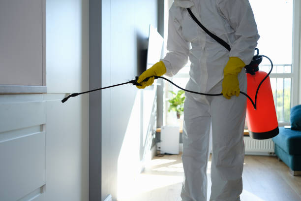 Best Industrial Mold Remediation in Albany, OR